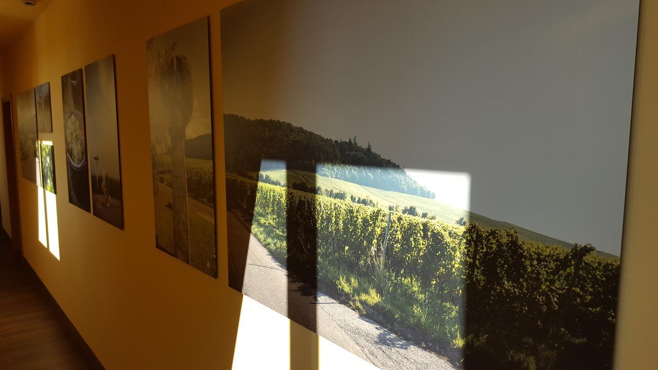 Der Patrizierhof - Weingut Gasthof Hotel - Familie Grebner Grosslangheim エクステリア 写真